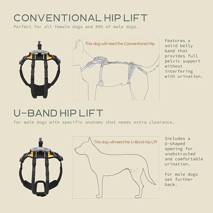 Help 'Em Up® - Dog Lift Harness│ Adjustable Lifting Harness for Dogs │ Full Body Support, Rear Leg Support (U-Band, Small)