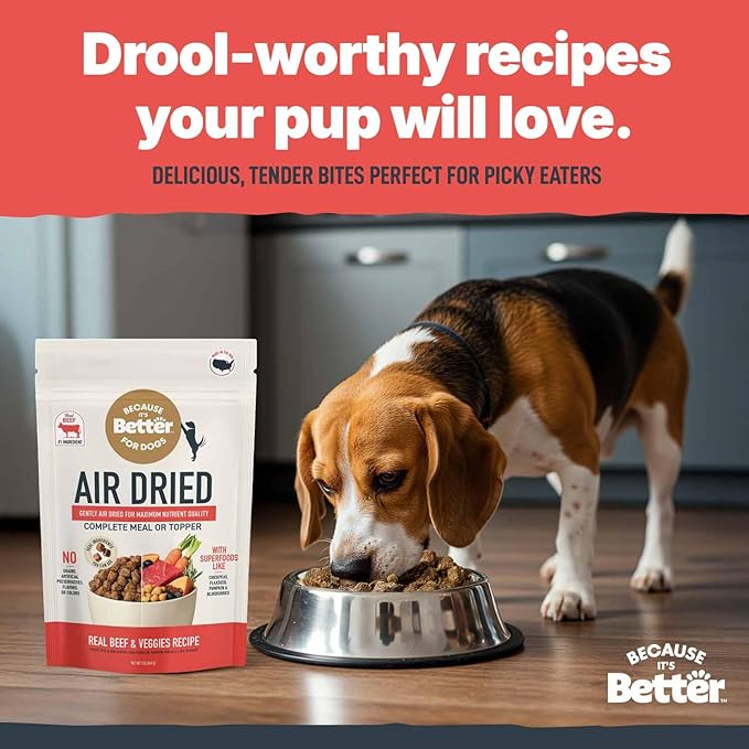 Because It’s Better Slow Baked & Air Dried Dog Food - Real Beef & Veggies - Complete & Balanced Dry Dog Food - Grain Free, High Protein, Natural Nutrition for All Life Stages, 1 lb Bag