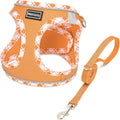 Mercano Soft Mesh Dog Harness and Leash Set, No-Chock Step-in Reflective Breathable Lightweight Easy Walk Vest Harnesses with Safety Buckle for Small Dogs, Cats (Orange, L)