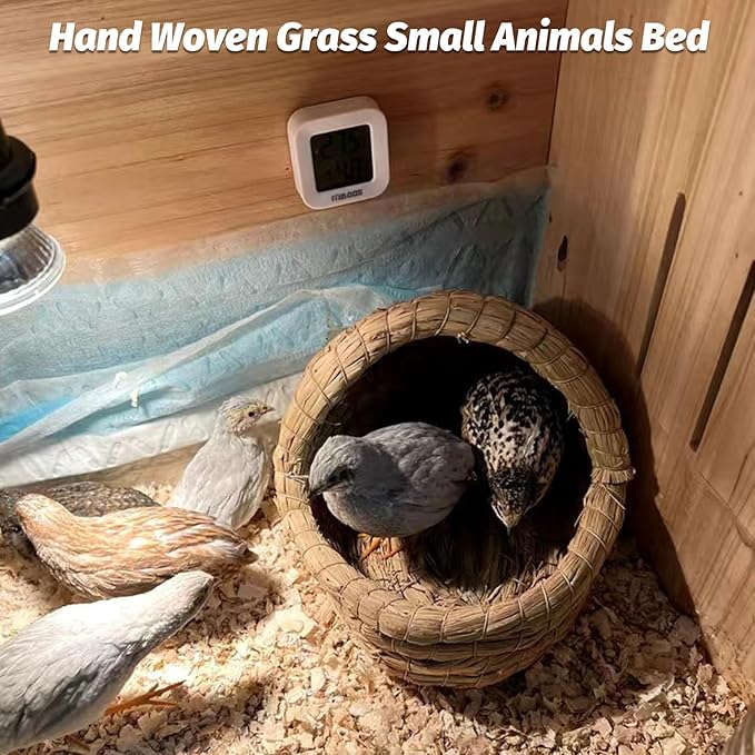 kathson Guinea Pig Grass House Guinea Pig Hideout Bunny Woven Hay Bed Hand Woven Natural Grass House for Hamster Bunny and Small Animals with Hay Chew Balls Toys(Small)