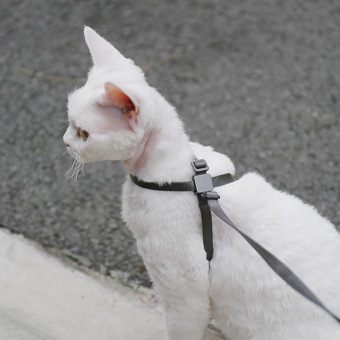 Cat Harness Escape-Proof Anti-Choking Adjustable Nylon Harness Lightweight with Anodized Aluminum Buckle, Ideal for Cats Outdoor Walking and Training, IDA Award (Blush Pink, S (13.8"))