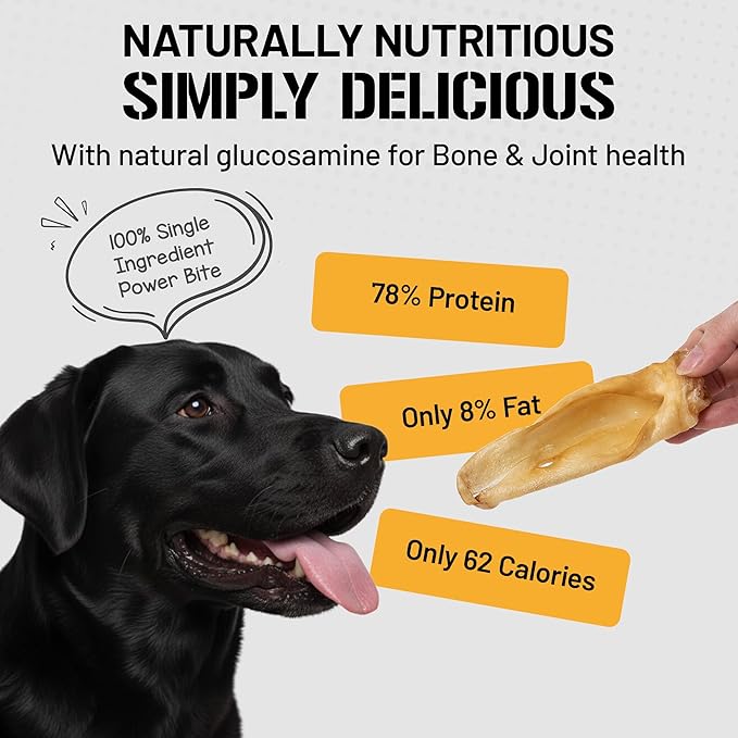 Dog Chits Lamb Ears for Dogs – 100% Natural Baked Lamb Ear Dog Treats – Grain-Free, High Protein, Lower Fat Training Chews – Dental Health & Joint Support – for Large, Medium Dogs – 15 Pack