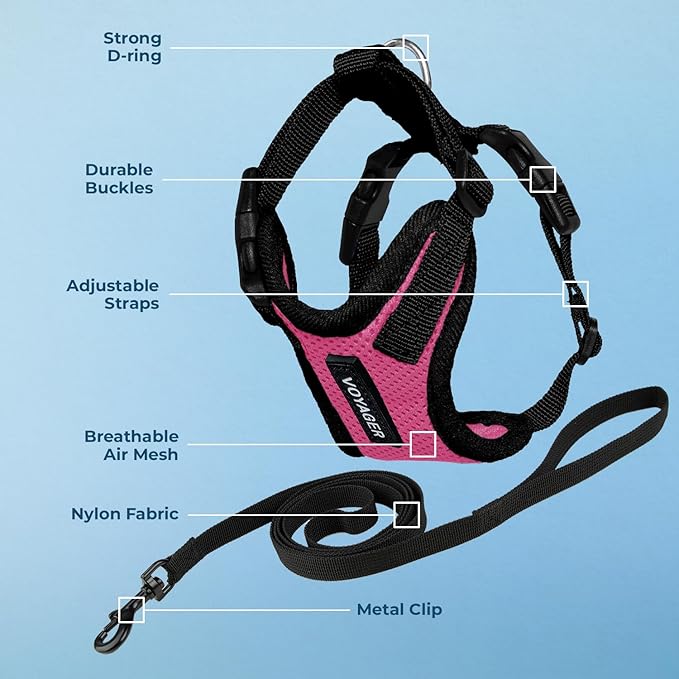 Voyager Escape-Proof Step-in Lock Cat Harness & 5ft Neoprene-Handle Leash Set All-Weather Mesh with Reflective Stitching for Small to Large Cats by Best Pet Supplies, Fuchsia/Black Trim, XXS
