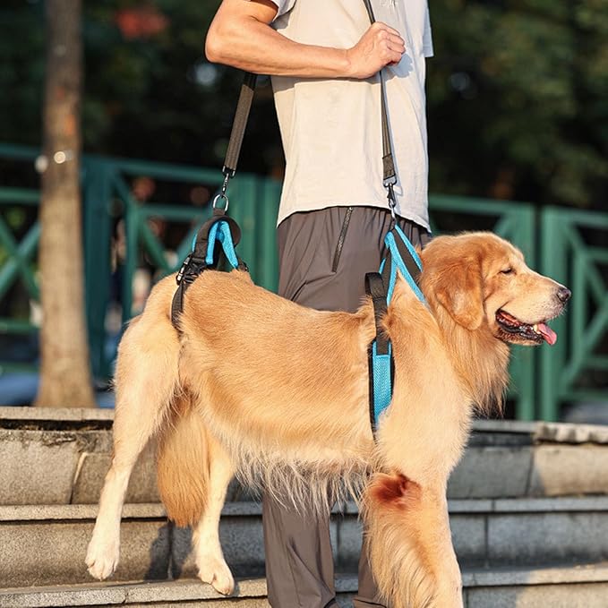 Pet Rehabs Strap for Aging Disabled Dog Nonslip Polyester Senior Mobility Tool for Outdoor Walking Gear Elderly Belt