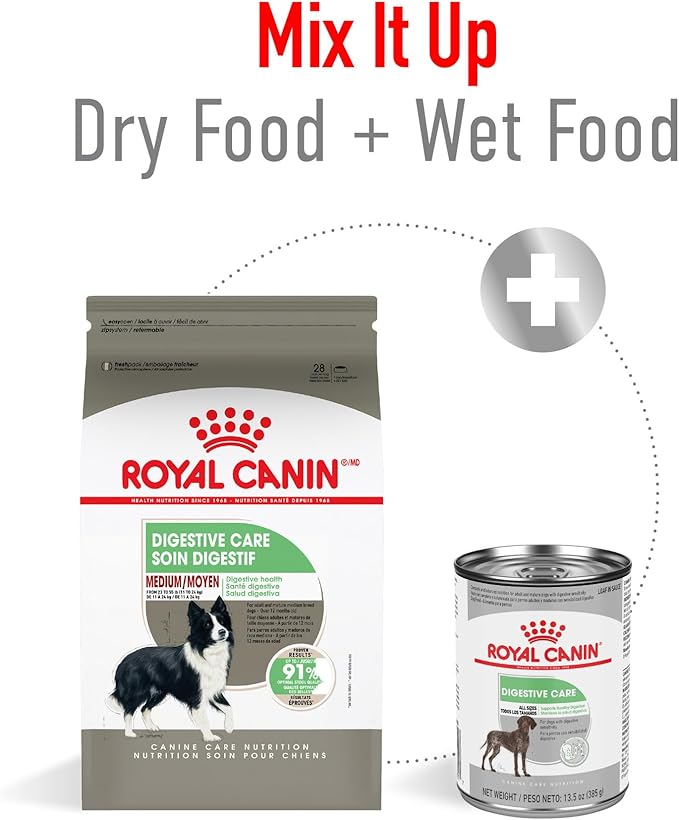 Royal Canin Canine Care Nutrition Medium Digestive Care Adult Dry Dog Food, 17 lb Bag