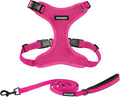 Best Pet Supplies Voyager Step-in Lock Pet Harness w Reflective Pet Leash Combo Set with Neoprene Handle 5ft - Supports Small, Medium and Large Breed Puppies/Cats - Fuchsia, S