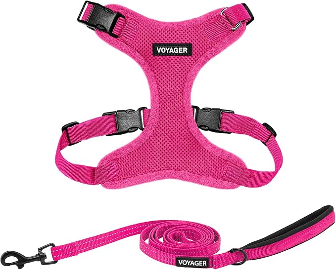 Best Pet Supplies Voyager Step-in Lock Pet Harness w Reflective Pet Leash Combo Set with Neoprene Handle 5ft - Supports Small, Medium and Large Breed Puppies/Cats - Fuchsia Set, L