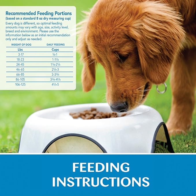 Wellness Simple Limited Ingredient Dry Dog Food for Sensitive Stomachs, Supports Skin & Coat, Wholesome Grains, Natural, Lamb & Oatmeal Recipe, (26-Pound Bag)