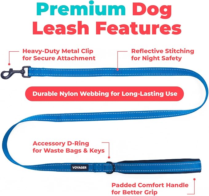 Best Pet Supplies Voyager Reflective Dog Leash or Collar with Neoprene Handle, for Small, Medium, and Large Breed Puppies, Cute and Heavy Duty for Walking, Running and Training - Royal Blue (Leash), M