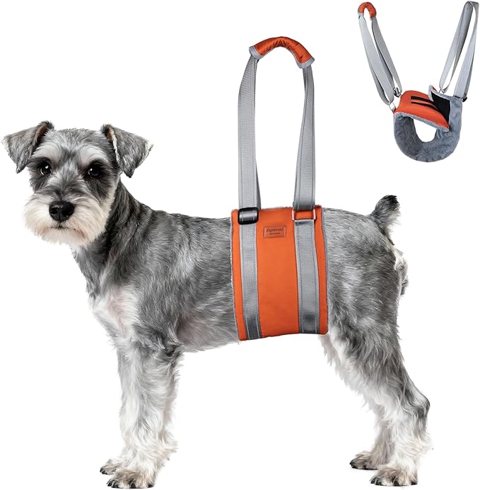 Dog Sling for Back Legs Dog Lift Harness Magic Tape Hip Support Harness Rehab to Help Senior,Injured,Arthritis,Hip Dysplasia,Weak Rear Leg,Disabled,After ACL/CCL Surgery,TPLO Dogs (Brown, M)