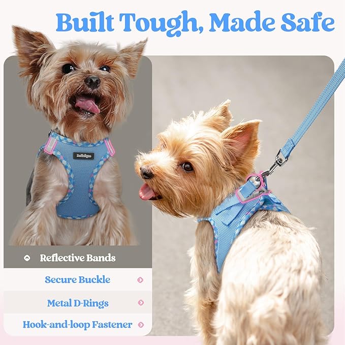 rabbitgoo Dog Harness Small Sized and Leash Set, Step in Soft Light Puppy Vest, Breathable Mesh Pet Harness, Reflective for Safe Easy Walking, Blue & Plaid Trim S