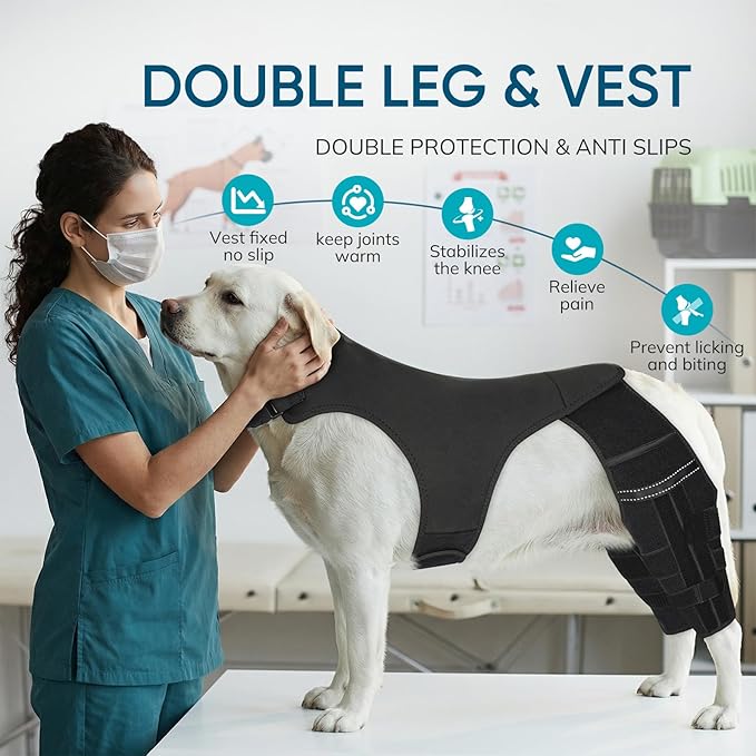 Adjustable Dog Knee Brace for ACL Tear and Arthritis Recovery - Dual Hind Leg Support with Harness Connection - Orthopedic Leg Wrap for Joint Stability and Pain Relief in Small to Large Dog (S)