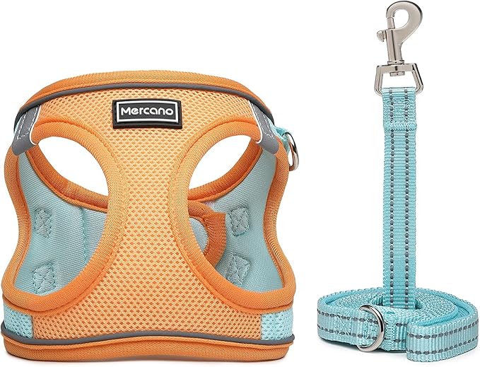 Mercano Soft Mesh Dog Harness and Leash Set, No-Chock Step-in Reflective Breathable Lightweight Easy Walk Vest Harnesses with Safety Buckle for Small Dogs, Cats (XL, Orange Blue)