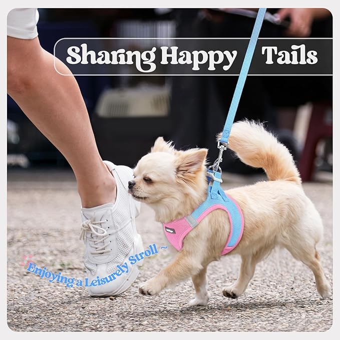rabbitgoo Dog Harness Small Sized and Leash Set, Step in Soft Light Puppy Vest, Breathable Mesh Pet Harness, Reflective for Safe Easy Walking, Blue & Light Pink S