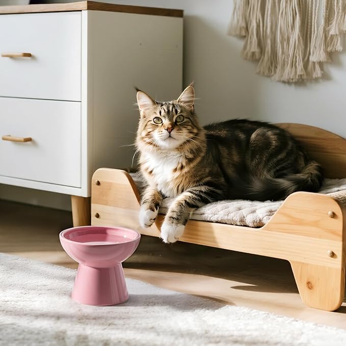 CEEFU Extra Wide Elevated Ceramic Cat Water Bowl - 6.2" Deeper Dish for Whisker Fatigue Relief, 5" Height for Easy Feeding, Lead & Cadmium Free, Durable Raised Cat Bowls, Pink
