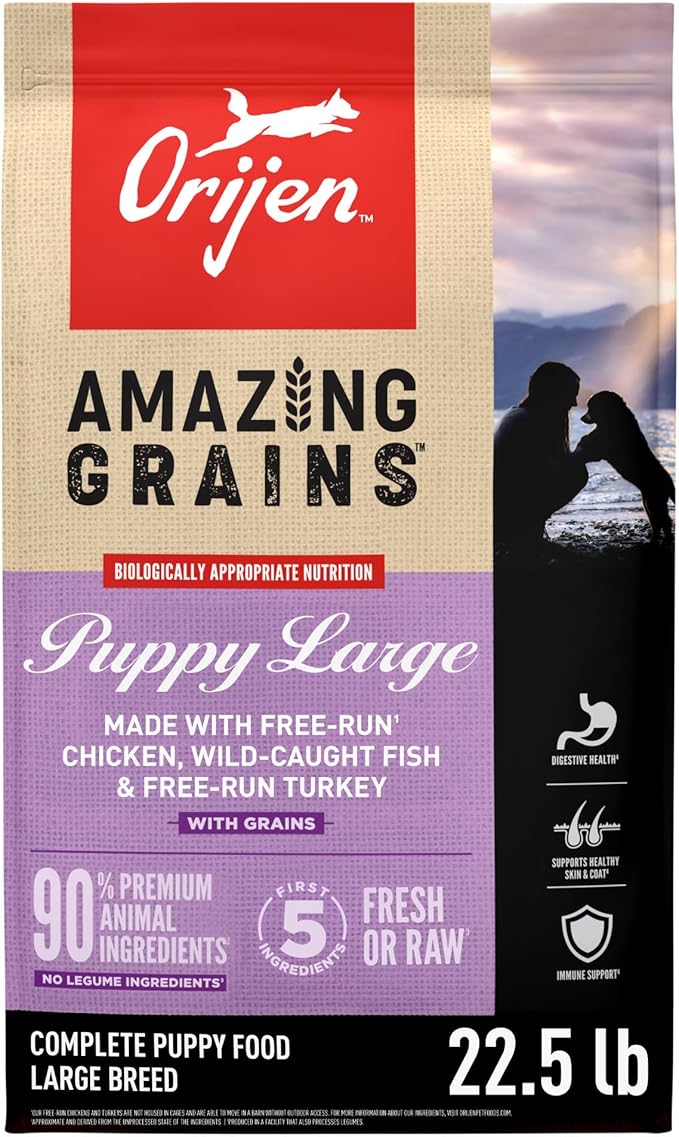 ORIJEN Amazing Grains High Protein Dry Dog Food Puppy Large Breed Recipe 22.5lb Bag