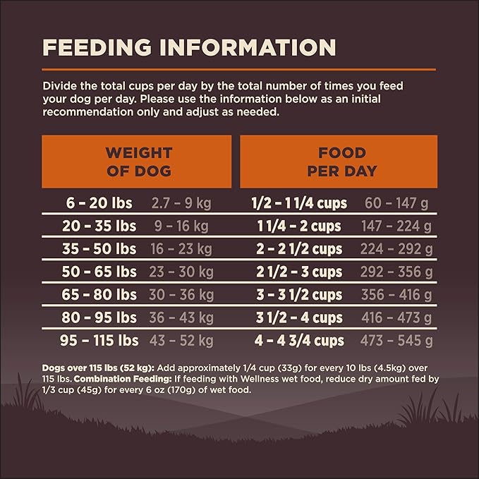 Wellness CORE Dry Dog Food, Wholesome Grains, High Protein, Natural, Original Turkey & Chicken Recipe, (24-Pound Bag)