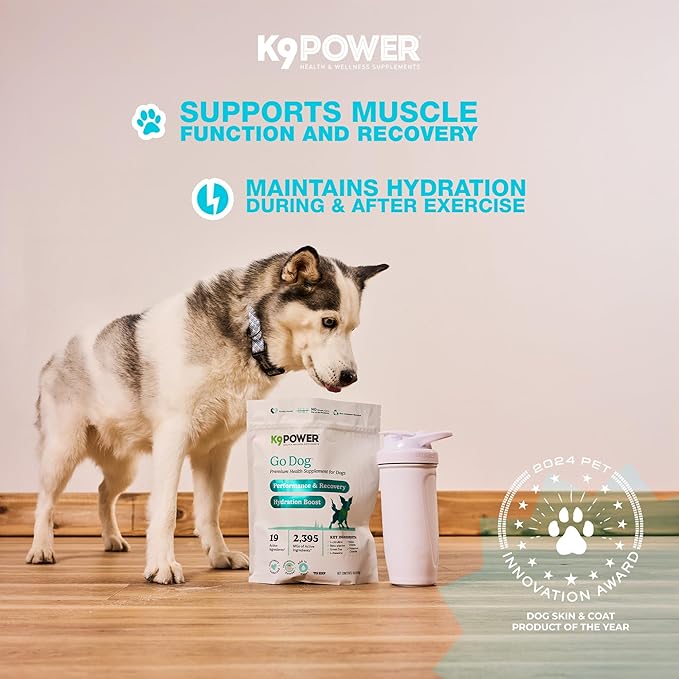 K9Power Go Dog – Hydration & Electrolyte Supplement for Dogs – Boost Stamina, Recovery, Muscle Function & Energy – Beta-Alanine, Creatine, BCAAs, Agave, Green Tea Extract, Electrolytes