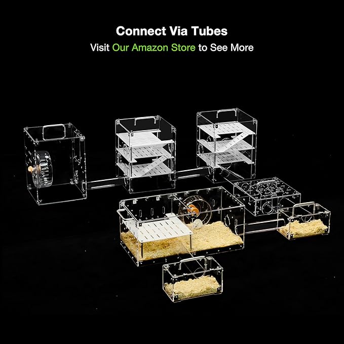 GuineaLoft™ Acrylic Cage (Model-P3) - Small 2x1 ft Enclosed w/Lid & Bottom for Hamsters, Rats, Mice, Gerbils, Also Works for a Single Guinea Pig, or as a Transport Cage