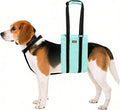 AIITLE Dog Sling Carrier with Detachable Collar - Adjustable Anti-Slip Reflective Dog Lift Harness with Comfort Handle for Senior Dogs, Hind Leg Weakness, Hip Dysplasia, ACL Surgery (Turquoise, M)
