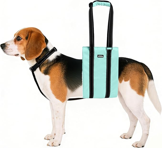 AIITLE Dog Sling Carrier with Detachable Collar - Adjustable Anti-Slip Reflective Dog Lift Harness with Comfort Handle for Senior Dogs, Hind Leg Weakness, Hip Dysplasia, ACL Surgery (Turquoise, M)