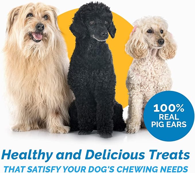 123 Treats Pig Ears Strips for Dogs - (8 Ounce) 100% Natural, Long Lasting & Highly Digestible Chew Treats, Single Ingredient, Slow Baked, Great for Puppy, Large & Medium Dogs