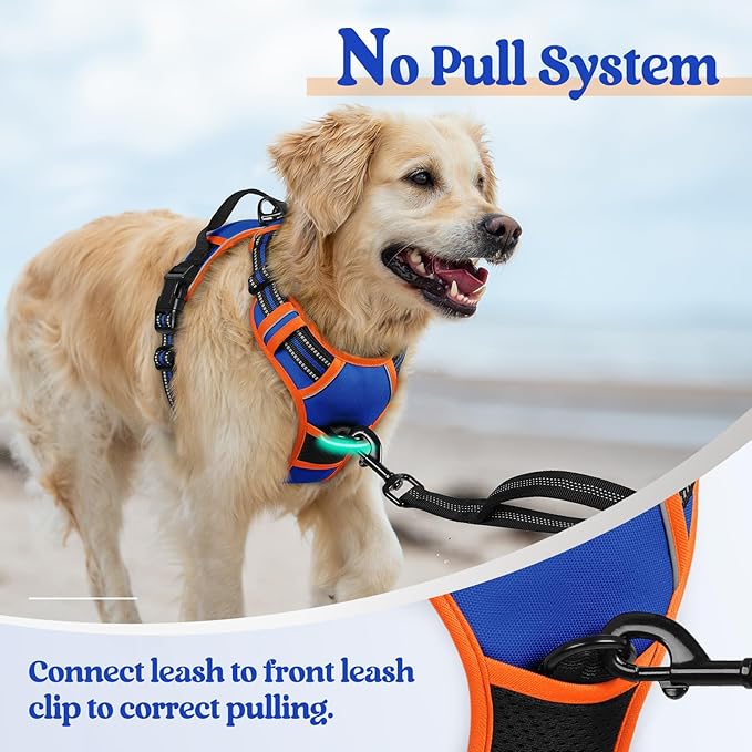 rabbitgoo Dog Harness No Pull with 2 Leash Clips, Adjustable Soft Padded, Reflective Oxford No Choke Pet Vest with Easy Control Handle for Medium Sized Dogs, Blue & Orange, M