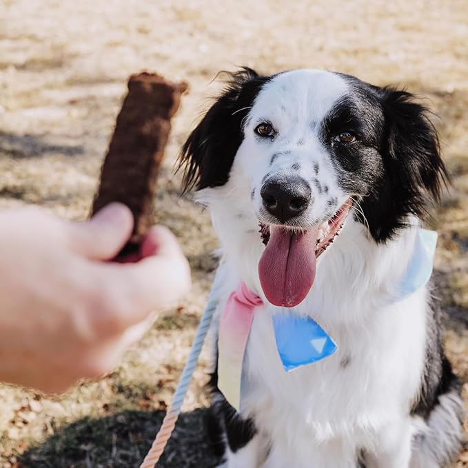 Bundle x Joy Leash & Load Beef Jerky for Dogs - 2 LB Bag, Natural Superfood - Corn, Poultry, Soy & Grain Free Beef Dog Treats Made in USA Only