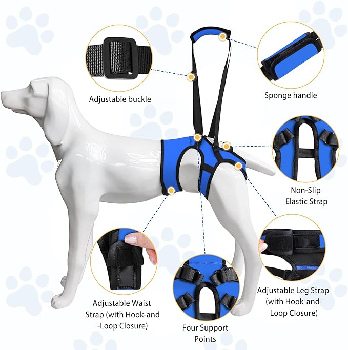 LIANZIMAU Dog Sling for Large Dogs Adjustable Hind Leg Support Lift Harness Senior Canine Mobility Aid Carrier for Back Legs Walking Rehabilitation