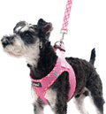 PUPTECK Dog Harness and Leash Set for Small Medium Dogs No Pull Step-in Soft Mesh Puppy Cat Vest Harnesses Reflective at Night, Pink L