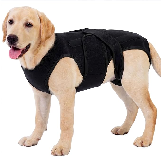 Dog Back Brace for IVDD & Spinal Recovery, Adjustable Breathable Support Vest Dog Lumbar Protector Helps Pain Relief, Pet Surgical Suit for Back Disease Prevention, Black 2XL