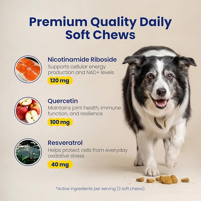 NAD+ Precursor & Senior Dog Supplement - 90 Soft Chews - NMN Alternative for Longevity & Healthy Aging - Nicotinamide Riboside, Resveratrol, Quercetin, Made with Pasture-Raised Chicken