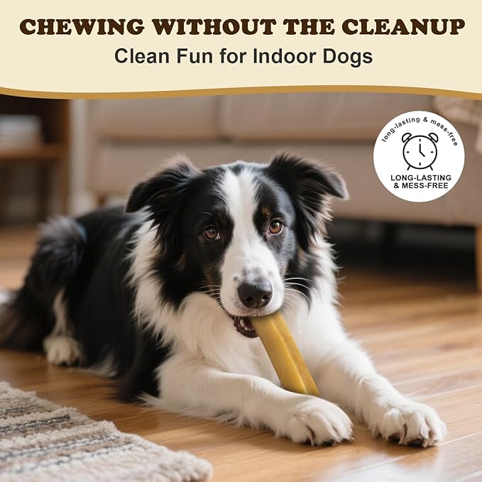 Yak Cheese Dog Chews – Long Lasting Hard Chew for Aggressive Chewers, 3-Ingredient Natural Dog Treats – High Protein, Odor-Free, Rawhide-Free for Large Dogs (Large - 5 Chews)