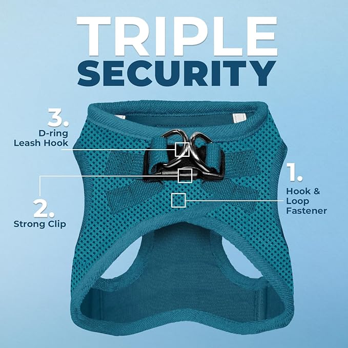 Best Pet Supplies Voyager Step-in Air Harness - All Weather Mesh, Reflective, No Pull Harness for Dogs, Cats - Secure with Hook & Loop Fastener, Buckle, Double D-Rings - Turquoise, XS