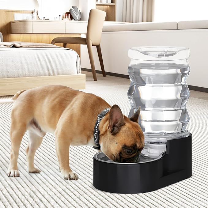RIZZARI Dog Water Dispenser: 6.5L Black Stainless Steel Gravity Waterer - Helps Prevent Urinary Stones - Leak-Proof & Stable-Small to Medium Dogs & Cats- Daily Use-Long Hours Away & Home