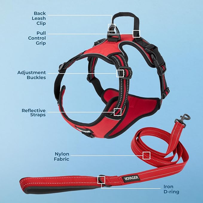 Voyager Dog Harness Dual Leash Attachment No-Pull Control Adjustable Soft but Strong Pet Harness for Medium and Large Dogs with 3M Reflective Technology, Leash Set Red Nylon, XL (Chest: 28-37")