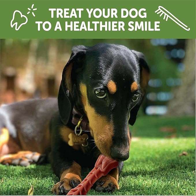 Whimzees Dental Dog Treats - Natural Grain-Free Chews for Healthy Teeth & Gums - Variety Pack - Small Breeds - Vegetarian Dental Care Snacks (2-Pack)