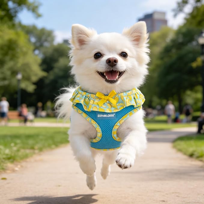 EXPAWLORER Cute Dog Harness Collar Leash Set - Blue Girl Dog Harness Checkered Step-in Design, Adjustable No-Choke Lightweight Mesh Vest for Cats Puppy Small Dogs, Lemon XS