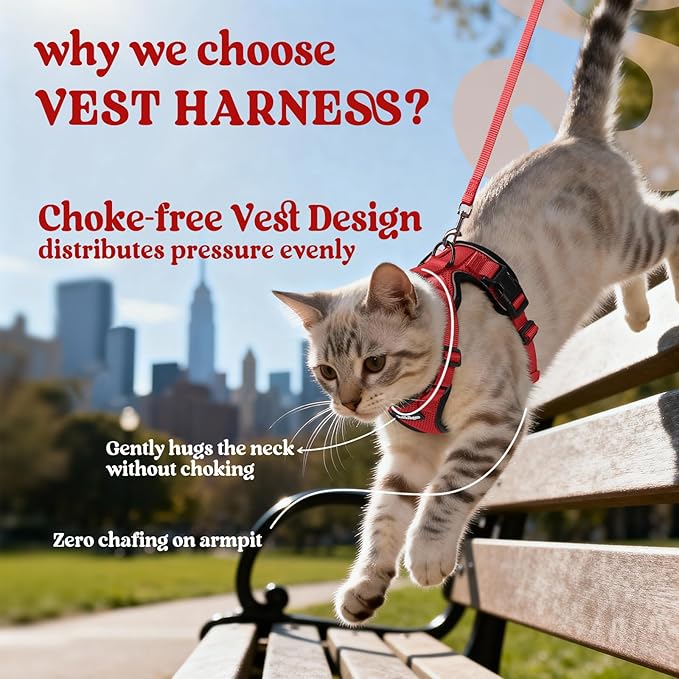 rabbitgoo Cat Harness and Leash for Walking, Escape Proof Soft Adjustable Vest Harnesses for Cats, Easy Control Breathable Reflective Strips Jacket, Red, M