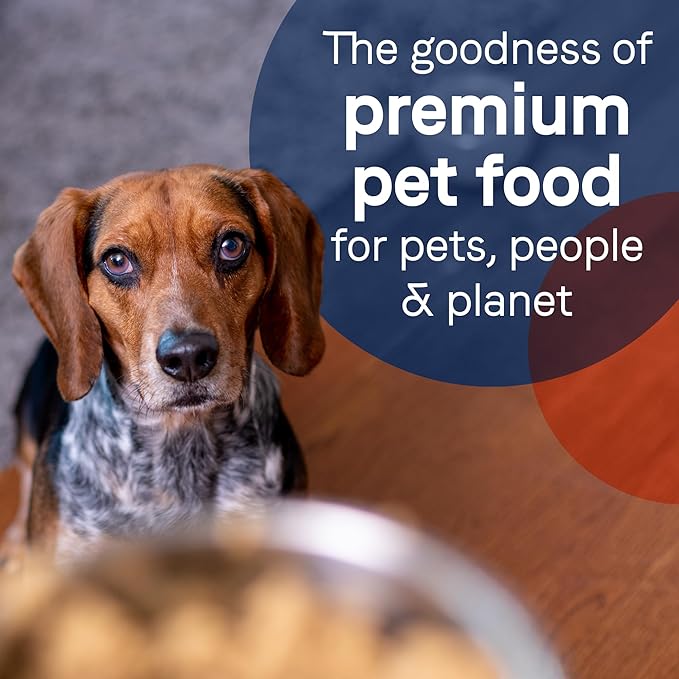Canidae Pure Limited Ingredient Premium Puppy Wet Dog Food, Chicken Recipe, 13 oz. (Case of 12), Grain Free