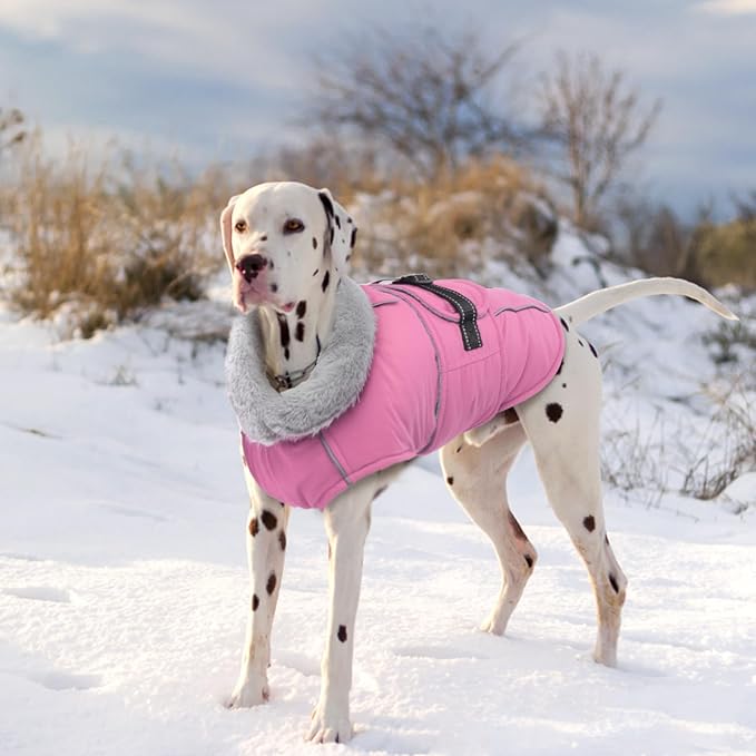 Lelepet Warm Dog Coats for Small Dogs Waterproof Dog Winter Jacket Reflective Pet Fleece Vest Windproof Cold Weather Coats with Adjustable Buckle & Leash Hole, Pink, S