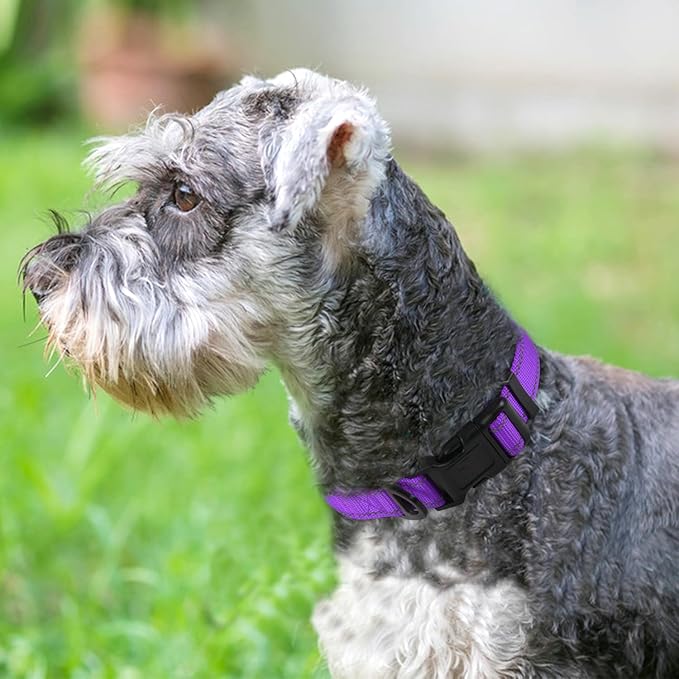 Joytale Reflective Dog Collar,Soft Neoprene Padded Breathable Nylon Pet Collar Adjustable for Small Dogs,Purple,S