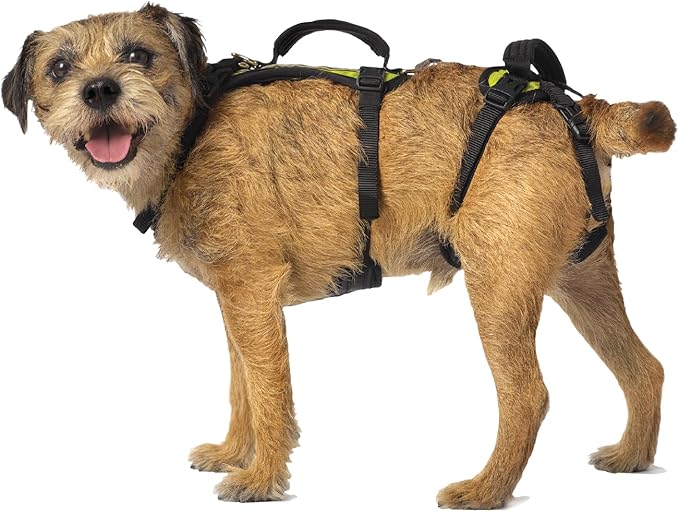 Help 'Em Up® - Dog Lift Harness│ Adjustable Lifting Harness for Dogs │ Full Body Support, Rear Leg Support (U-Band, Small)