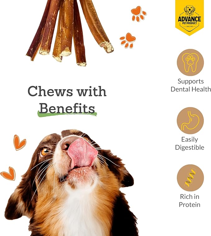Advance Pet Products Premium 6 Inch Bully Sticks for Dogs (Pack of 100) – 100% Beef Dog Chews, Odor-Free, Long Lasting Treat for Aggressive Chewers, High Protein, Gluten & Rawhide Free, Easy to Digest