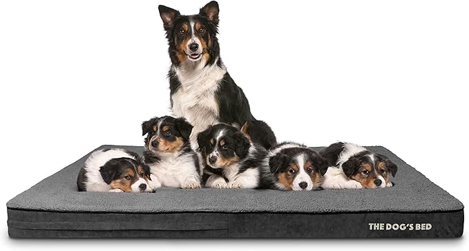 The Dog’s Bed Orthopedic Memory Foam Dog Bed for XXXL Dogs, Waterproof Washable Cover, Anti-Slip Base, Calming Surface – CertiPUR-Certified Foam, Grey Plush, 4 Inch Thick