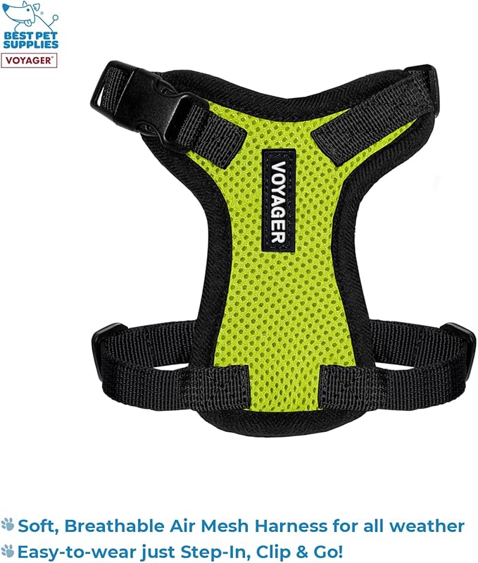 Best Pet Supplies Voyager Step-in Lock Pet Harness w Reflective Pet Leash Combo Set with Neoprene Handle 5ft - Supports Small, Medium and Large Breed Puppies/Cats - Lime Green/Black Trim, XXS