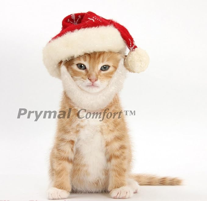 Santa Dog Cat Costume