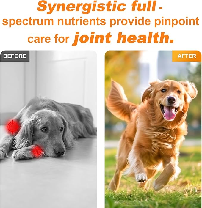 180 Chews Glucosamine Chondroitin Joint Chews for Dogs, Chicken Flavor 13 in 1 with Glucosamine, Chondroitin, MSM, Omega-3 Support Hip & Joint Support - Joint Pain Relief Flavored Fit All Breed