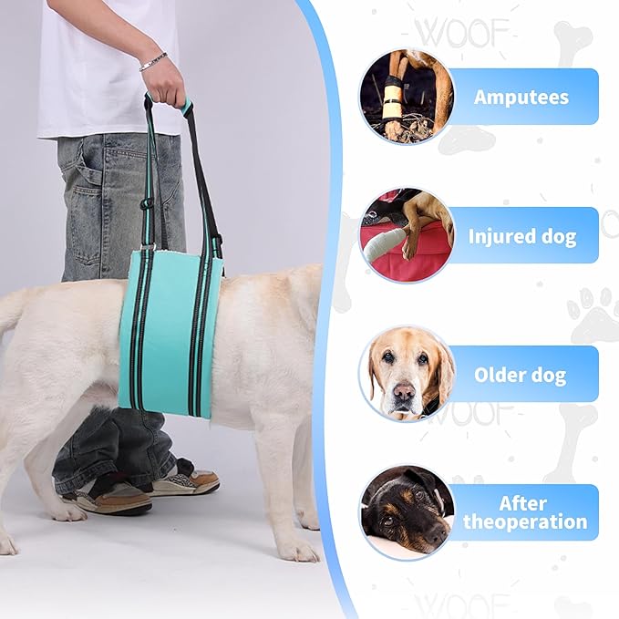 AIITLE Dog Sling for Large Dogs Hind Leg Support - Adjustable Reflective Design with Plush Padding, Ideal for Senior/Arthritic Dogs & Post-Surgery Recovery (Turquoise, L)