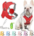 Patas Lague Dog Harness with Leash Set Adjustable Soft Padded Step-in Dog Vest No Choke No Pull Reflective for Small Medium Pets with Poop Bags and Dispenser, Solid and No-chew, Red S